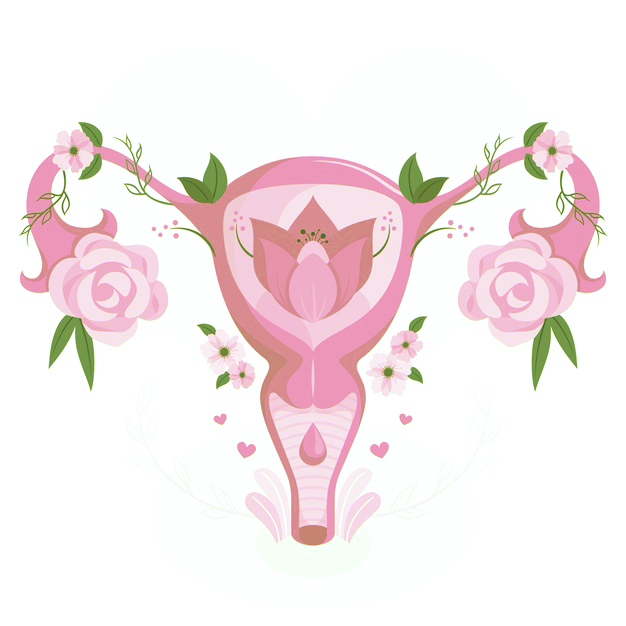 26407913.png 微信图片_20251023094801_11_2.png