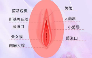 做處女膜修復手術價格多少？到深圳怡康醫院做貴不貴？