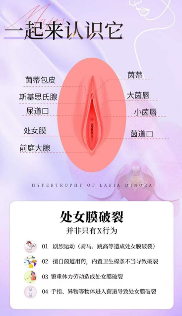 68652366.png 32bd9951-ef34-4d79-865f-8acf7d197b65.png